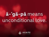 Agape Hospice & Palliative Care LLC