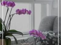 Allen Harbor Senior Living