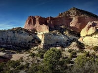 App Of New Mexico Hm PLLC