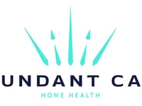 Abundant Health Care Services