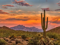 Emblem Hospice Tucson