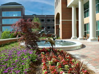 Carolinas Medical Center At Home, LLC