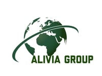 Alivia Technology And Investments LLC