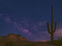 Arizona Shining Star #2