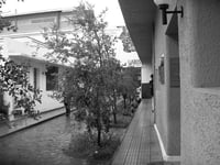 Arcis