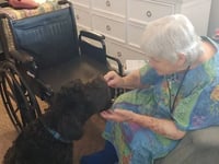 Richmond Hills Assisted Living Facility Llc