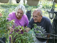 Community Agency for Senior Citizens, Inc.