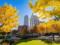 Autumn Leaves Of Tulsa