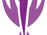 American Rehabilitation Services,P.C.