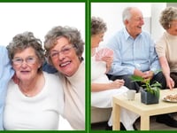 Comfort Living Elder Care