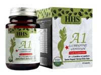 A1 Hhs INC