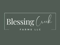 A Blessing Away From Home 2 Llc