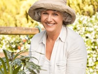 Brookview Manor Assisted Living Facility Llc