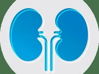 Davita Pine Island Kidney Center