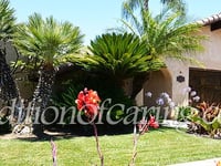 Arbor View 5