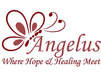 Angelus Healthcare Services INC