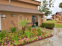 Paradise Home Care