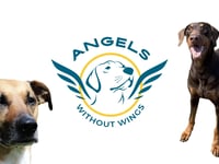 Angels Without Wings Assisted Living, Llc
