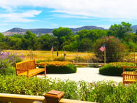 Alexander'S Golden Starr Community Care Home