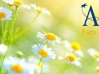 Alinea Family Hospice Care LLC