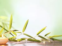 Ample Home Health, INC.