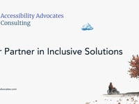 Accessibility Consultanta