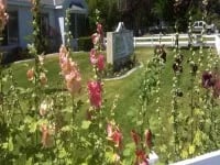 Country View Assisted Living