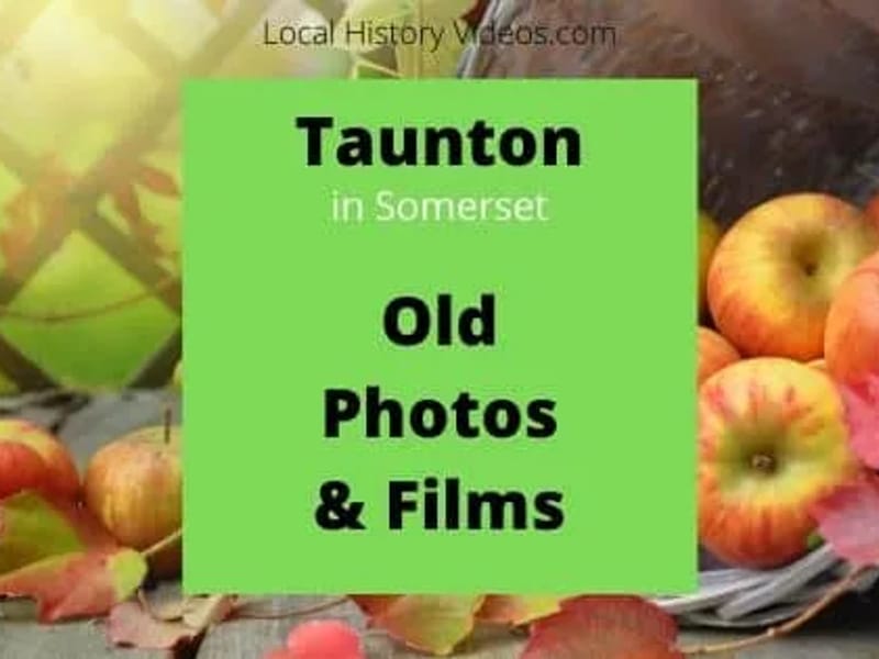 Elmsmead - In-Home Care in Taunton, England photo 3