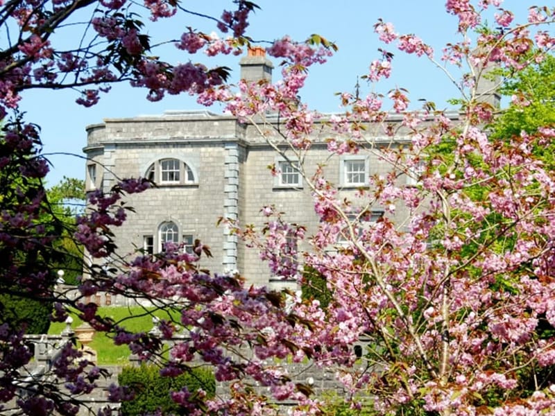 Belvedere House - Nursing Home in Chesterfield, England photo 3
