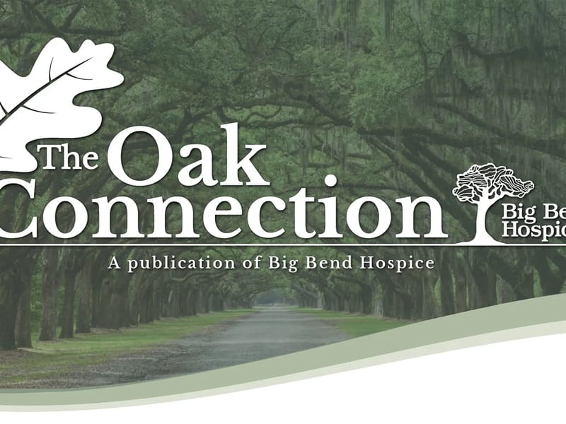 Big Bend Hospice Inc - Hospice in Tallahassee, FL photo 2