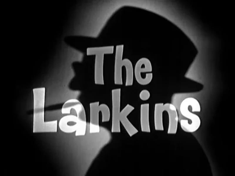 The Larkins - In-Home Care in Stoke-On-Trent, England photo 3