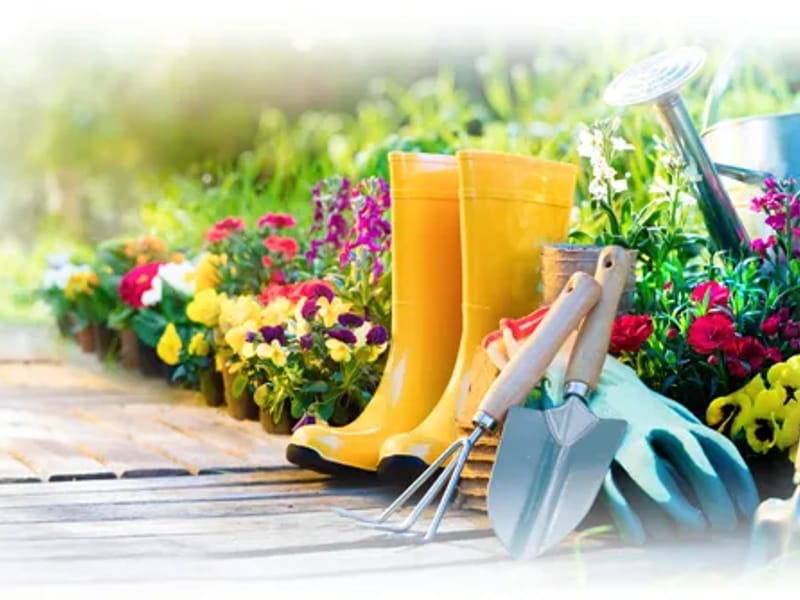 Caring Solutions LLC — Home Health Nursing, Enfield, CT · photo 3