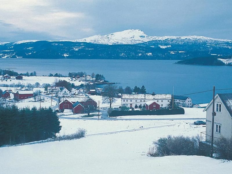 Tingvoll dagtilbud - Dagaktivitet for voksne in Sarpsborg, Viken photo 2