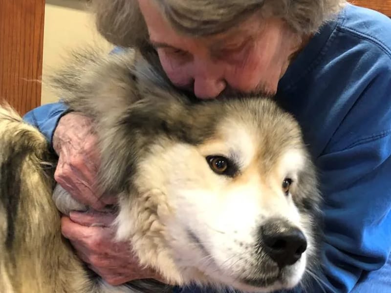 Hi Jill'S House Llc - Assisted Living in Bloomington, IN photo 3