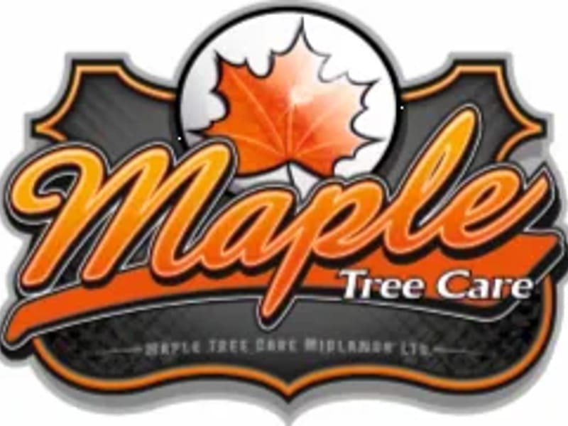 Maple Tree Care Ltd - In-Home Care in Dereham, England photo 3