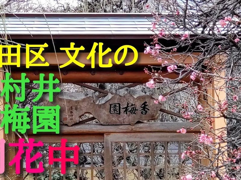 カームガーデン小村井 - 有料老人ホーム in 墨田区, 東京都 photo 3