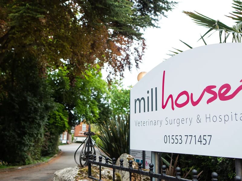 Mill House - Assisted Living in Kings Lynn, England photo 2