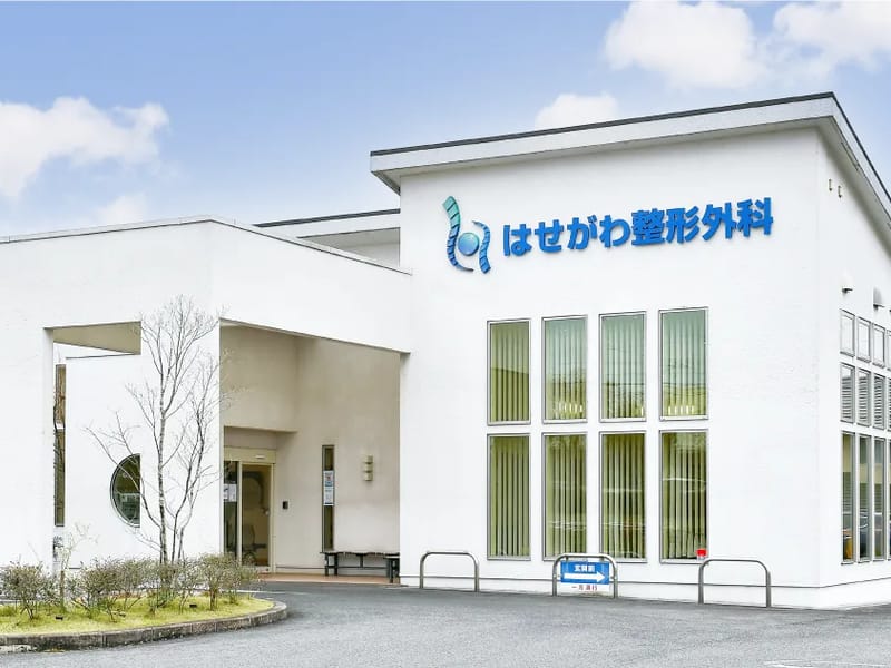 はせがわ整形外科 - 入院リハビリ in 名古屋市守山区, 愛知県 photo 1