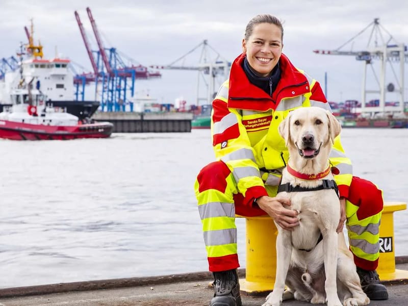 ASB Sozialstation Süderelbe in Hamburg, Free and Hanseatic City of Hamburg photo 1