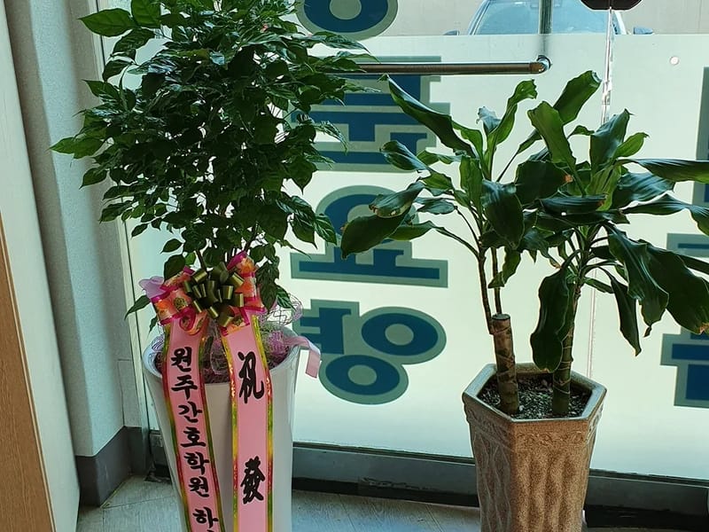 강원방문요양센터 - 방문요양 in 원주시, 강원특별자치도 photo 1