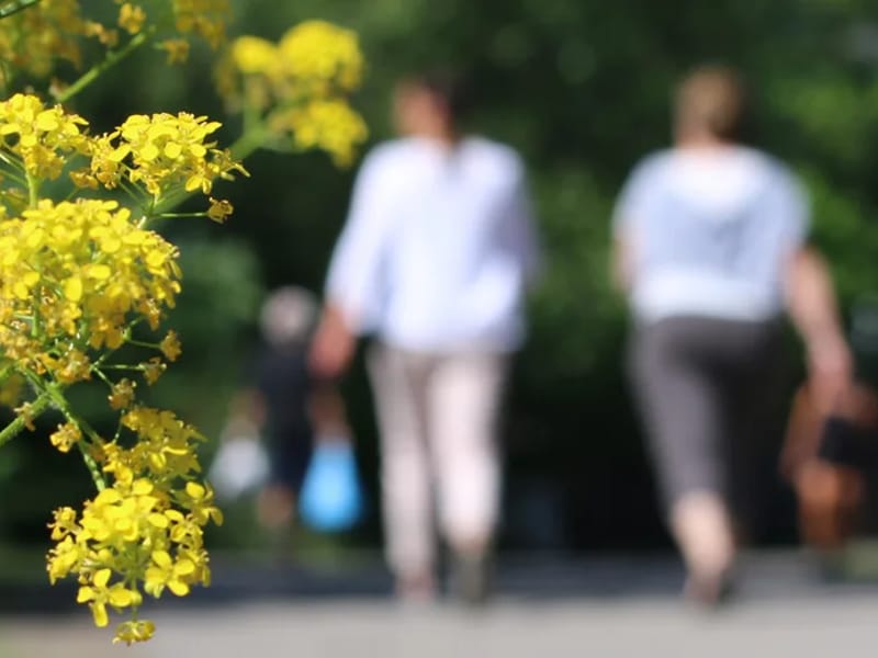 Humaniora Vård o Omsorg - Hemtjänst in Solna, Stockholms län photo 1