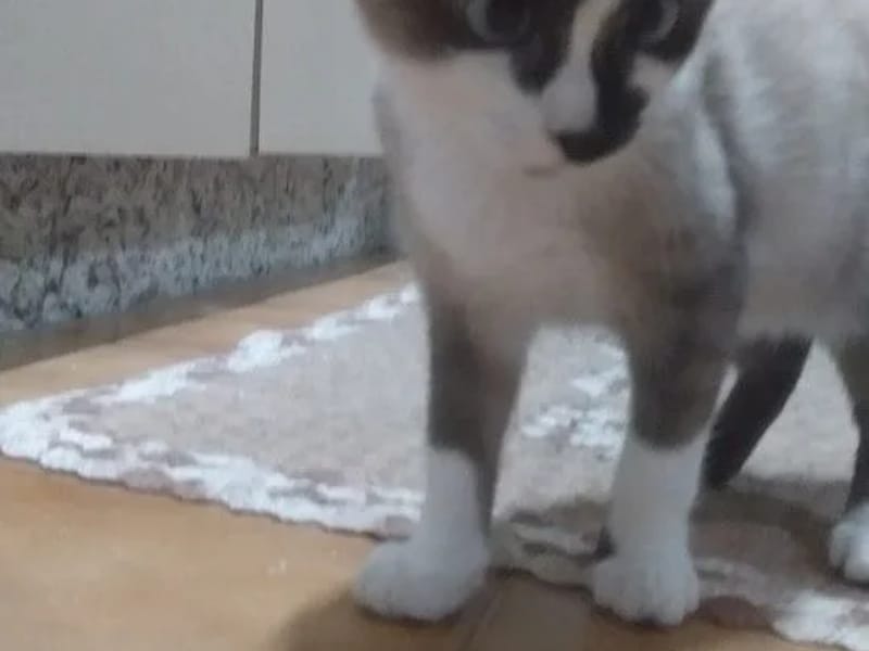 CLINICA DE PSICOLOGIA AMAN - Cuidado Domiciliar in Curitiba, PR photo 1