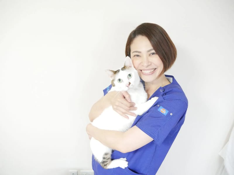ねこのて相談センター - 有料老人ホーム in 札幌市東区, 北海道 photo 2