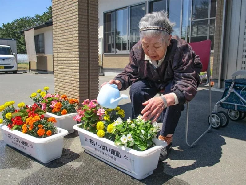 こもれびの郷浜中 - デイサービス in 酒田市, 山形県 photo 3
