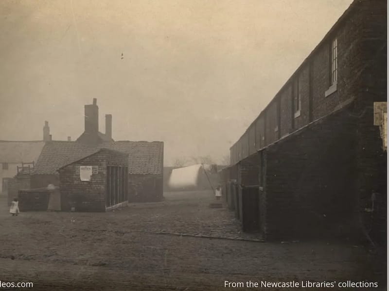 Bowland Lodge - Assisted Living in Newcastle Upon Tyne, England photo 3