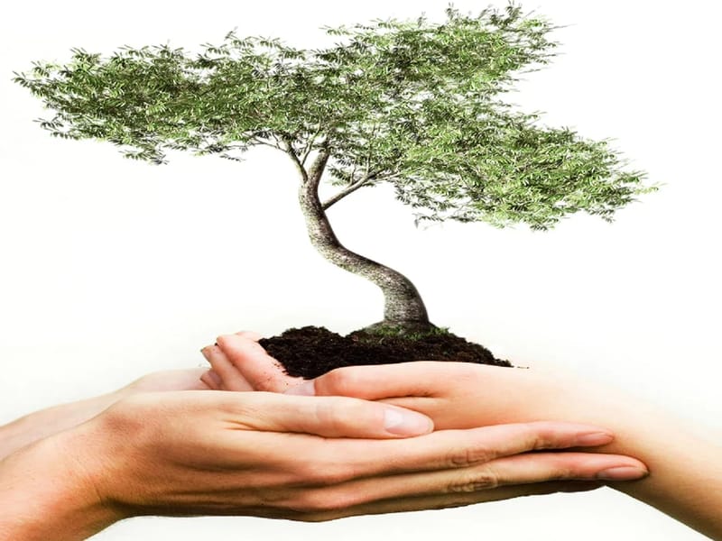 Caring Hands Pediatric Therapy, LLC - Home Health Nursing in Mesa, AZ photo 2