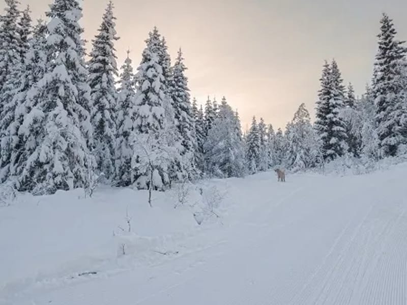 Haugsåsen - Sykehjem in Skien, Telemark photo 2