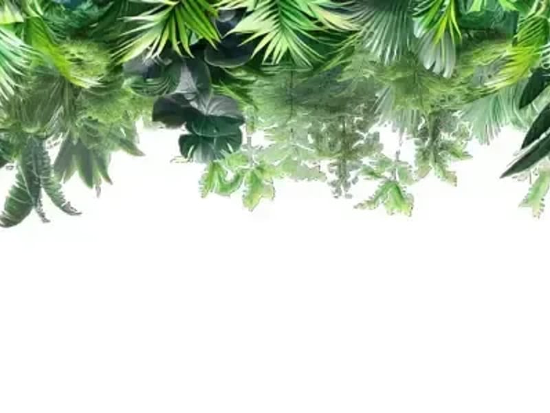 Garden Of Eden - Assisted Living in Vallejo, CA photo 2