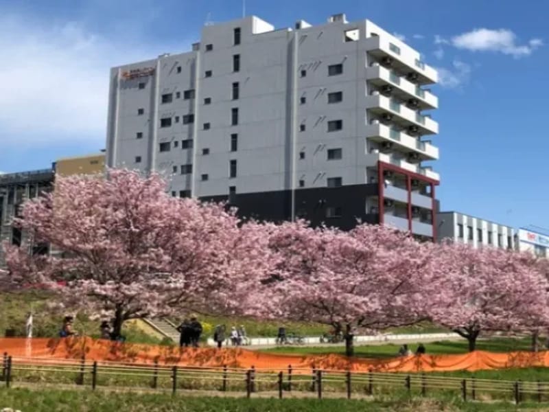 はなことば南 - 有料老人ホーム in 横浜市南区, 神奈川県 photo 2