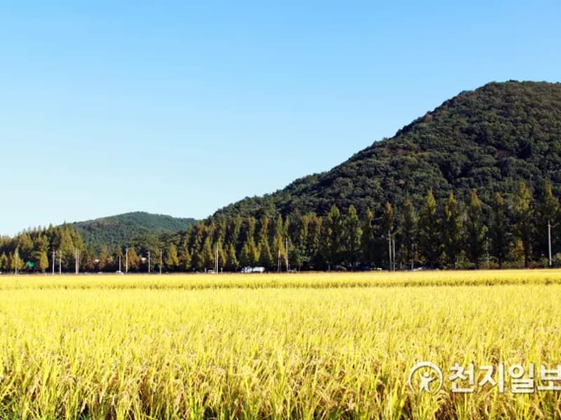 사랑이 머무는 들녘 - 주간보호 in 강화군, 인천광역시 photo 2